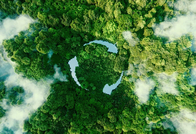 Sustainable Development